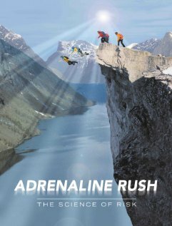 Смотреть Adrenaline Rush: The Science of Risk (2002) на шдрезка