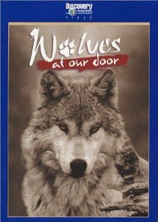 Смотреть Discovery: Волки (1997) на шдрезка