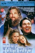 Смотреть Полёт к Санта Клаусу (2000) на шдрезка