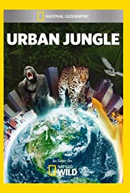 Смотреть Городские джунгли (2014) онлайн в Хдрезка качестве 720p