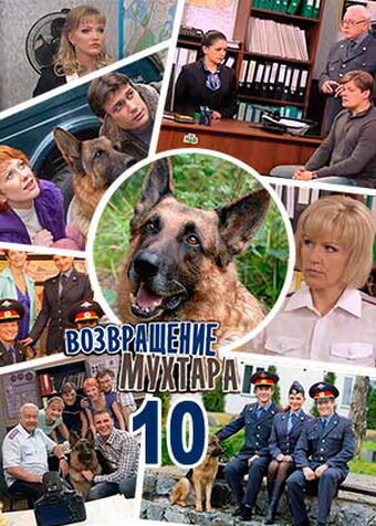 Смотреть Возвращение Мухтара 10 (2015) онлайн в Хдрезка качестве 720p