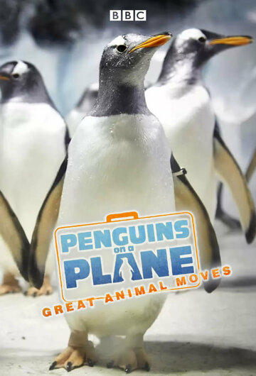 Смотреть Пингвины на самолете: Передвижение великих животных (2014) онлайн в Хдрезка качестве 720p