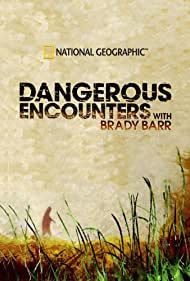 Смотреть Dangerous Encounters (2005) онлайн в Хдрезка качестве 720p