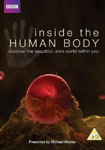 Смотреть Внутри человеческого тела (2011) онлайн в Хдрезка качестве 720p