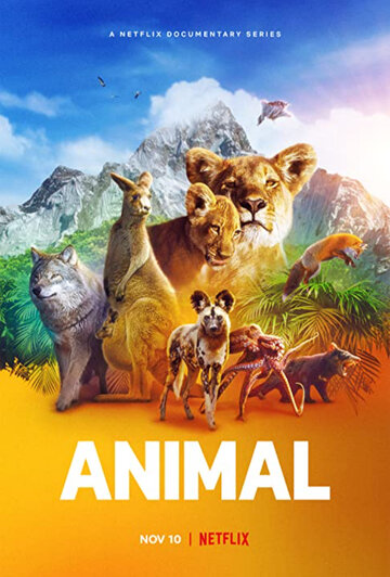 Смотреть Удивительные животные (2021) онлайн в Хдрезка качестве 720p