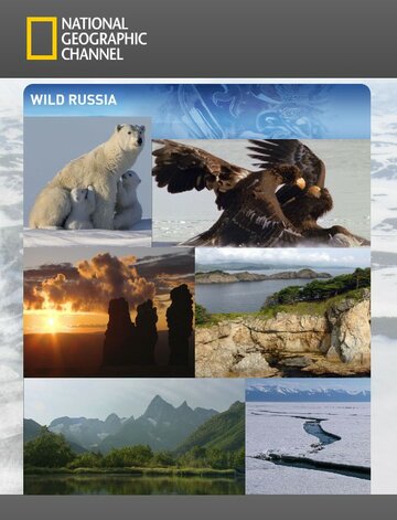 Смотреть Дикая природа России (2008) онлайн в Хдрезка качестве 720p