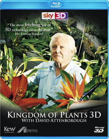 Смотреть В королевстве растений (2012) онлайн в Хдрезка качестве 720p
